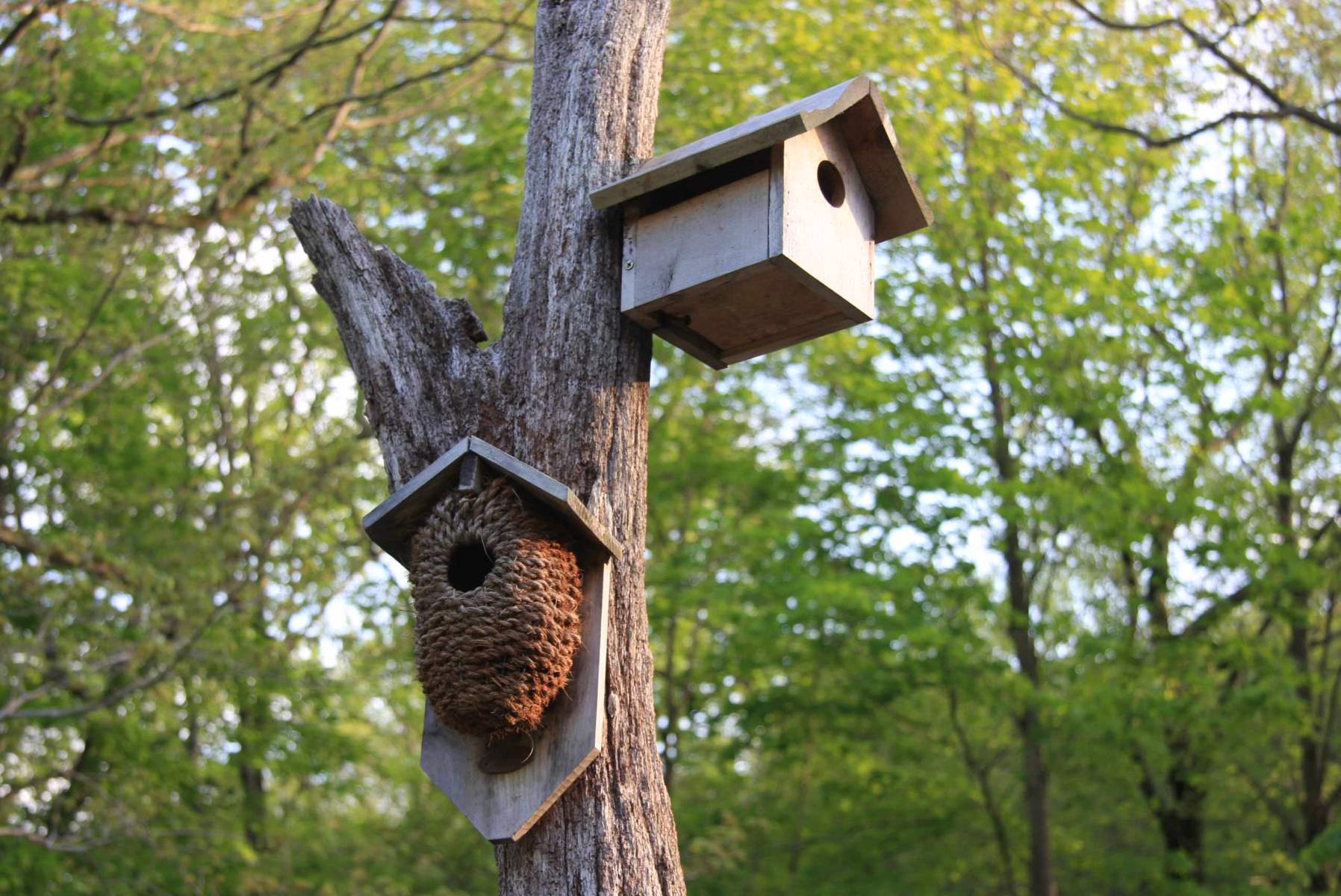 DIY Birdhouses To Bring Rustic Charm To Your Garden