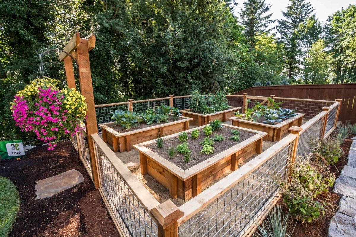 How To Build A Raised Garden Bed For Fresh Vegetables