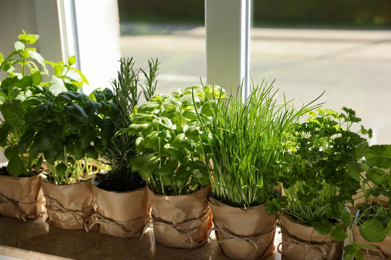 The Benefits Of Growing Your Own Herbs At Home