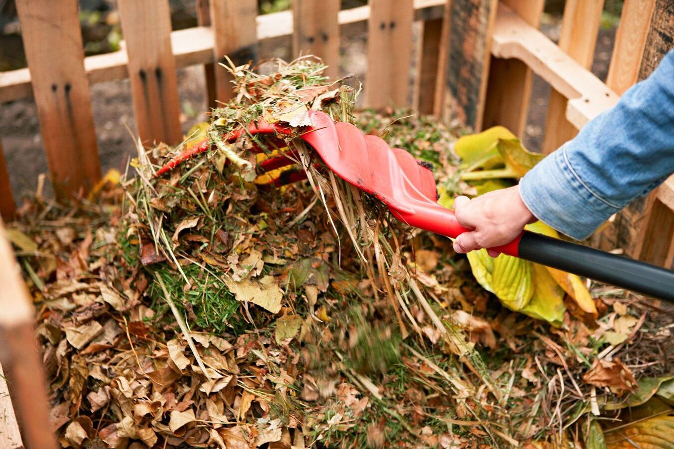 Tips For Starting A Compost Pile In Your Backyard