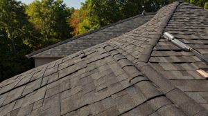 Roofing Maintenance Tips to Keep Your Home Safe and Organized