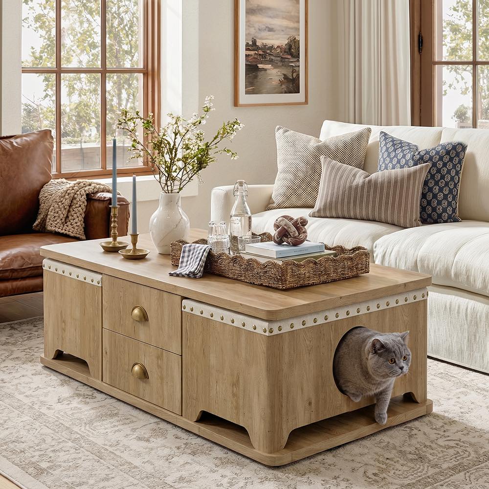 Designers Are Paying More Attention to Pet Behavior