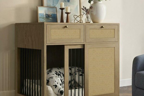 The Rise of Pet-Conscious Home Design: 4 Ways It’s Changing Modern Homes